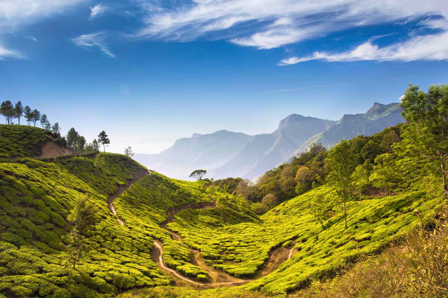 Best travel agency in India offering domestic and international tour packages